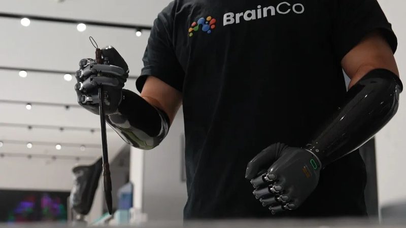 企业供应链管理的数字化转型之路**